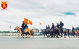 Cận cảnh dàn kỵ binh của lực lượng cảnh sát cơ động